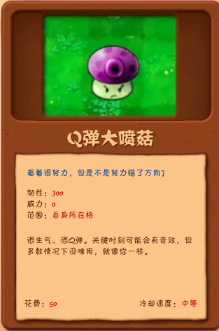 Plant Image 11